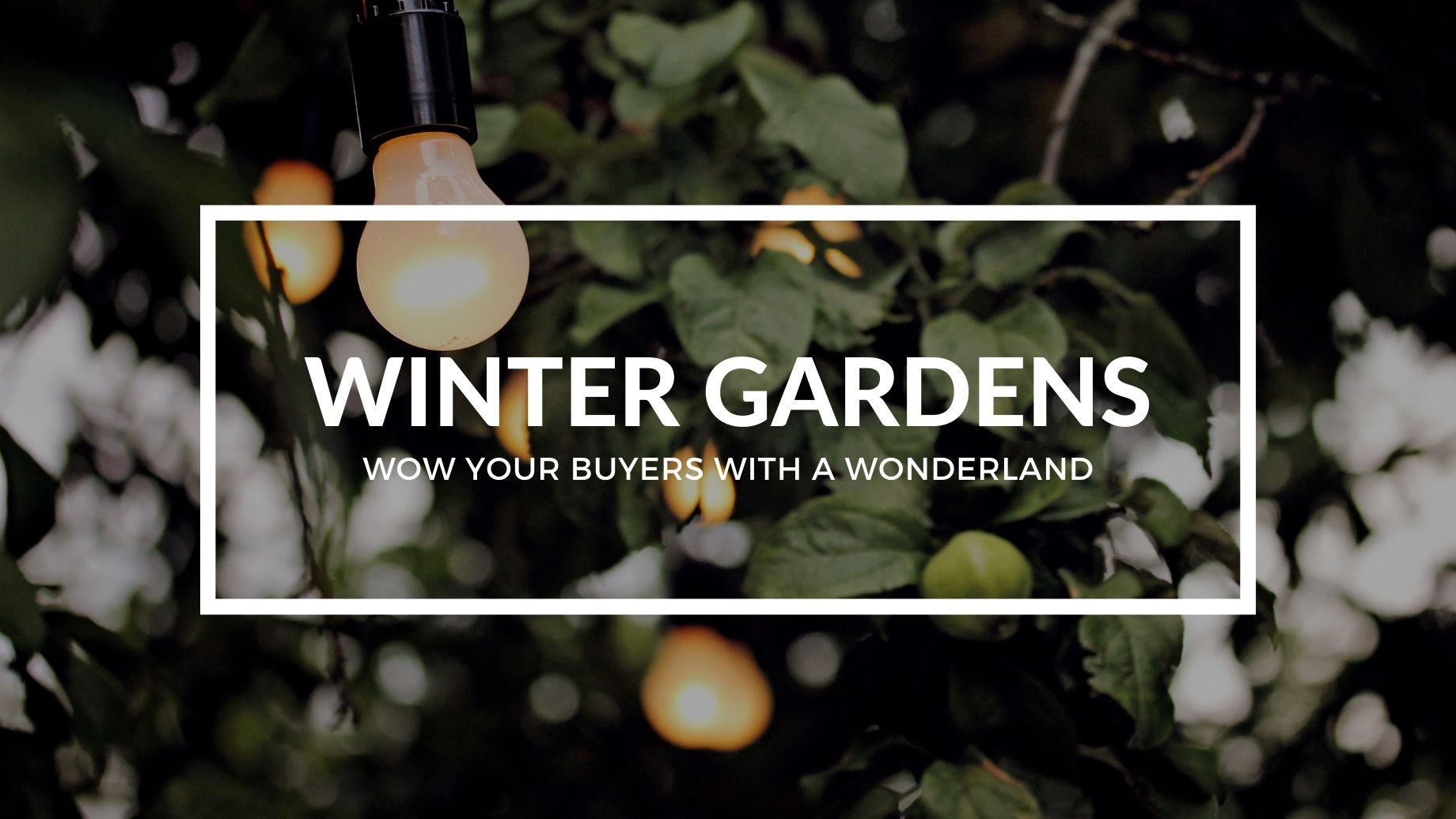 WINTER GARDENS: WOW YOUR BUYERS WITH A WONDERLAND